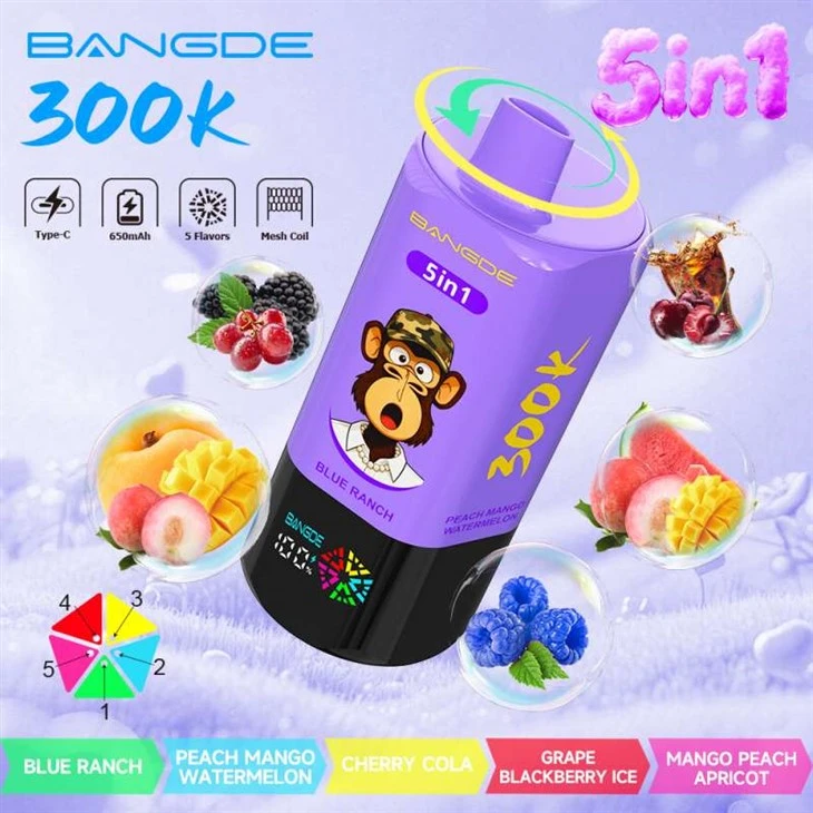 BANG DE 300K BANG DE 300K
