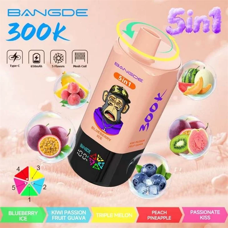 BANG DE 5in1 300K high quality