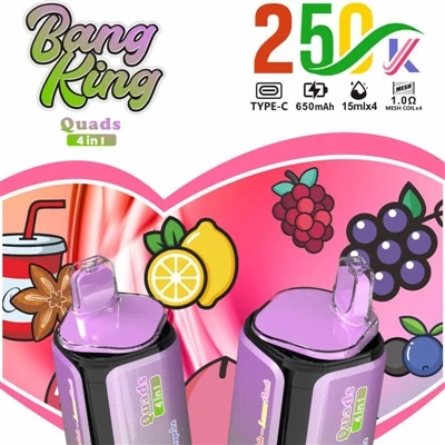 BANG KING Quads 4IN1 250000: Eispéireas Nua ar E-toitíní Préimh Indiúscartha ...