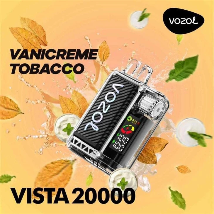 VOZOL VISTA20000 19